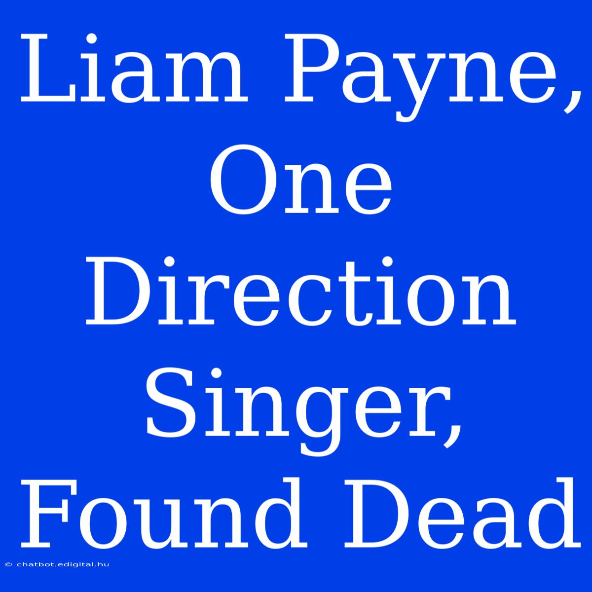 Liam Payne, One Direction Singer, Found Dead