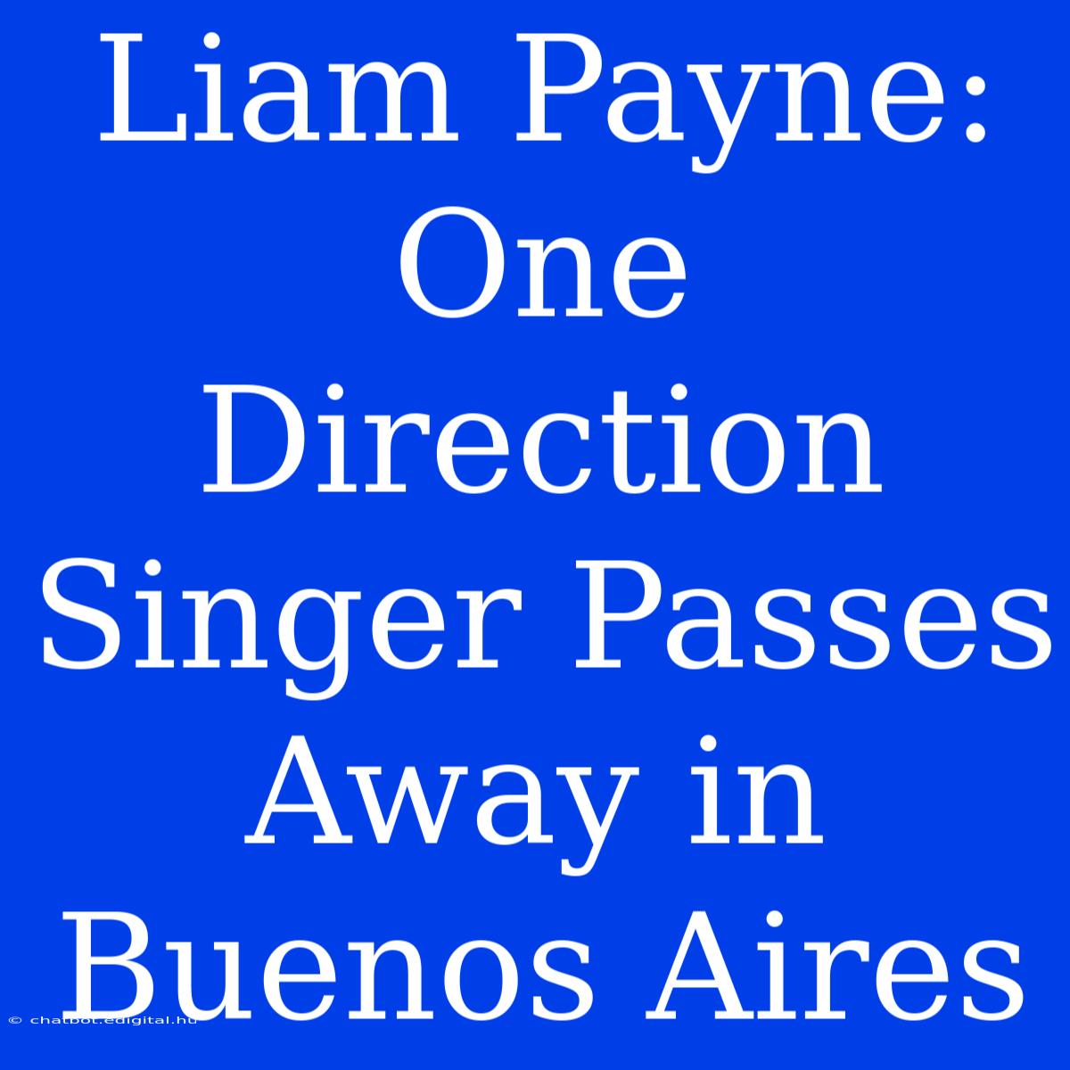 Liam Payne: One Direction Singer Passes Away In Buenos Aires