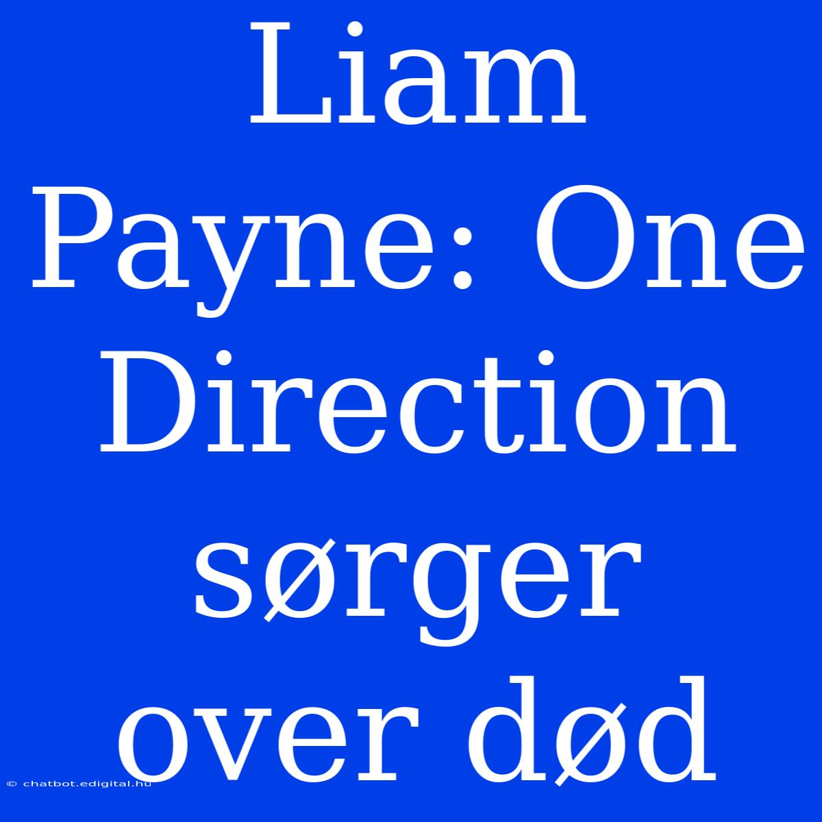 Liam Payne: One Direction Sørger Over Død