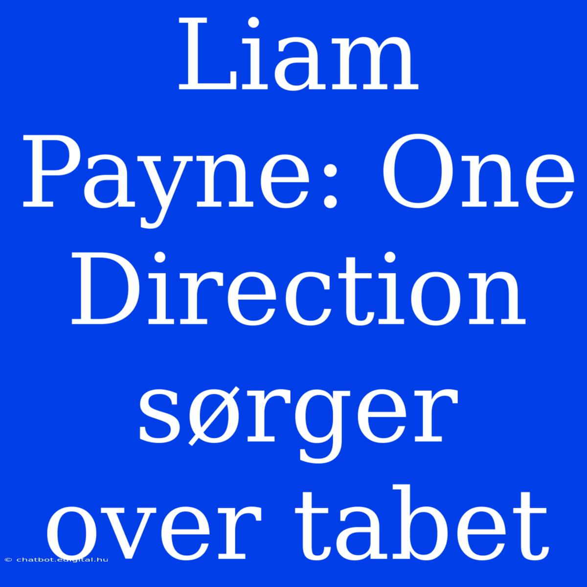 Liam Payne: One Direction Sørger Over Tabet