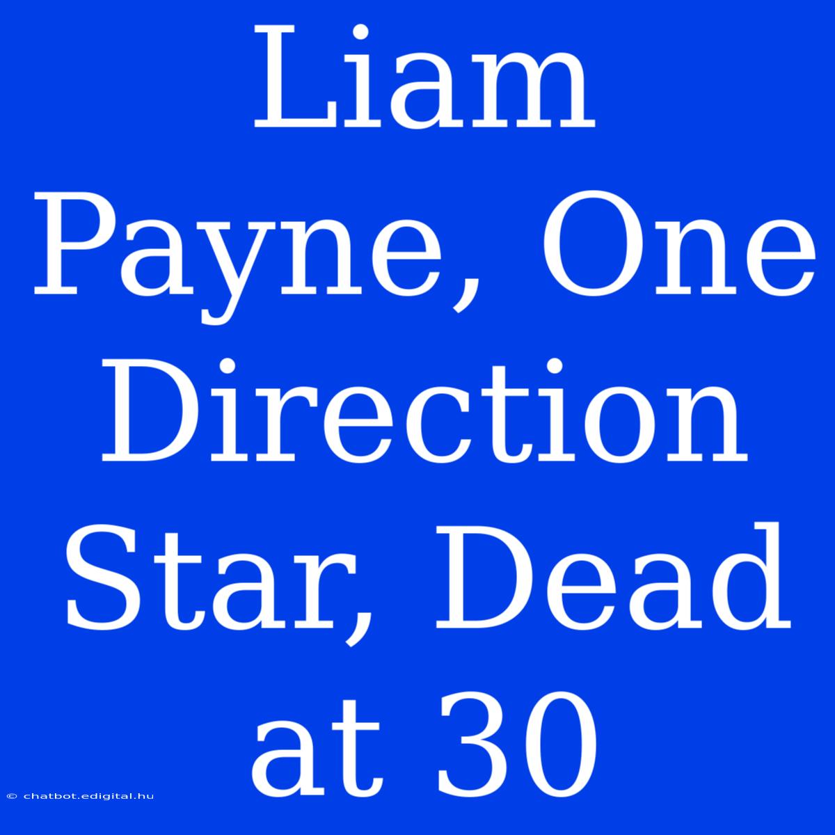 Liam Payne, One Direction Star, Dead At 30