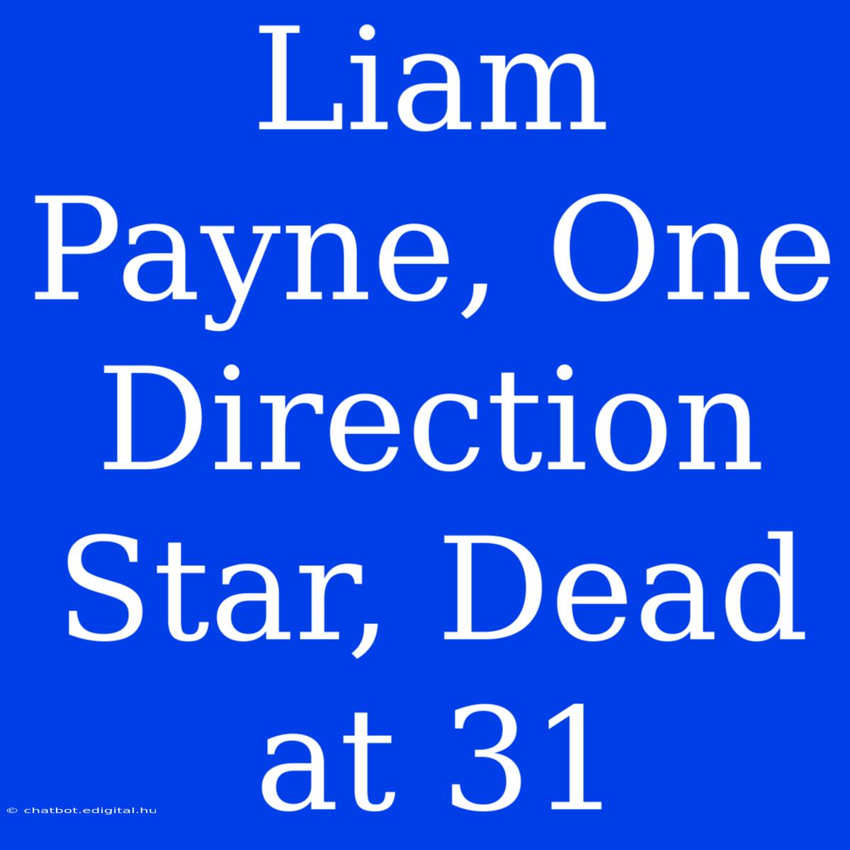 Liam Payne, One Direction Star, Dead At 31