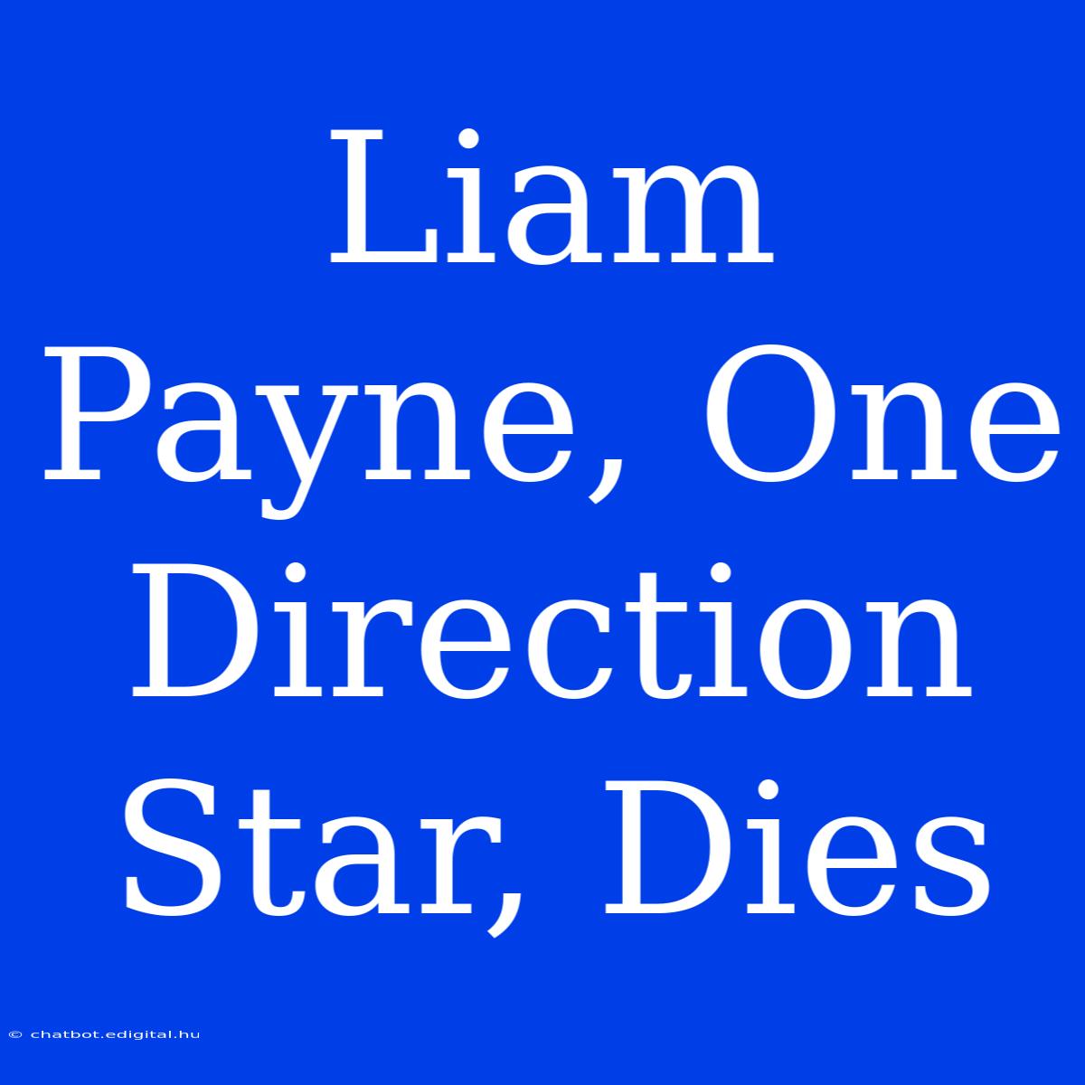 Liam Payne, One Direction Star, Dies