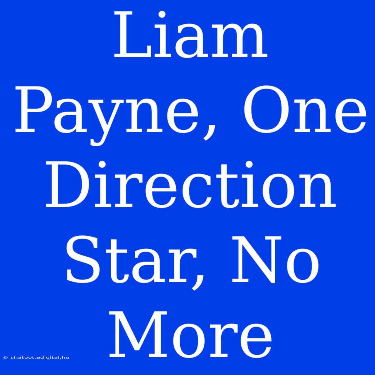 Liam Payne, One Direction Star, No More 