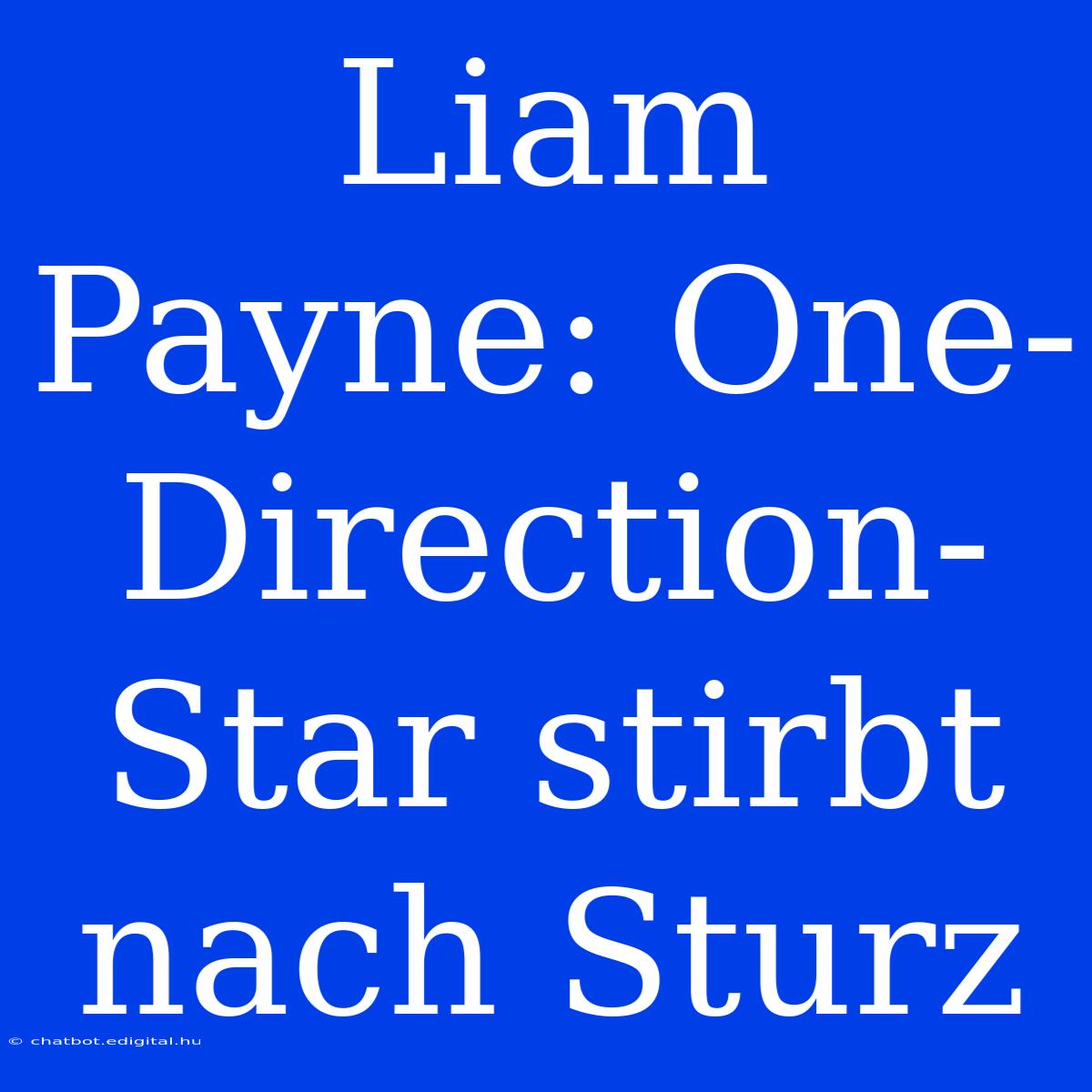 Liam Payne: One-Direction-Star Stirbt Nach Sturz