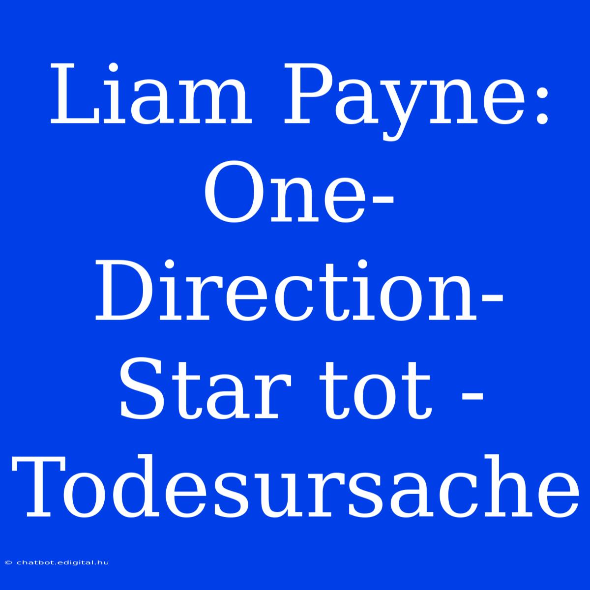 Liam Payne: One-Direction-Star Tot - Todesursache