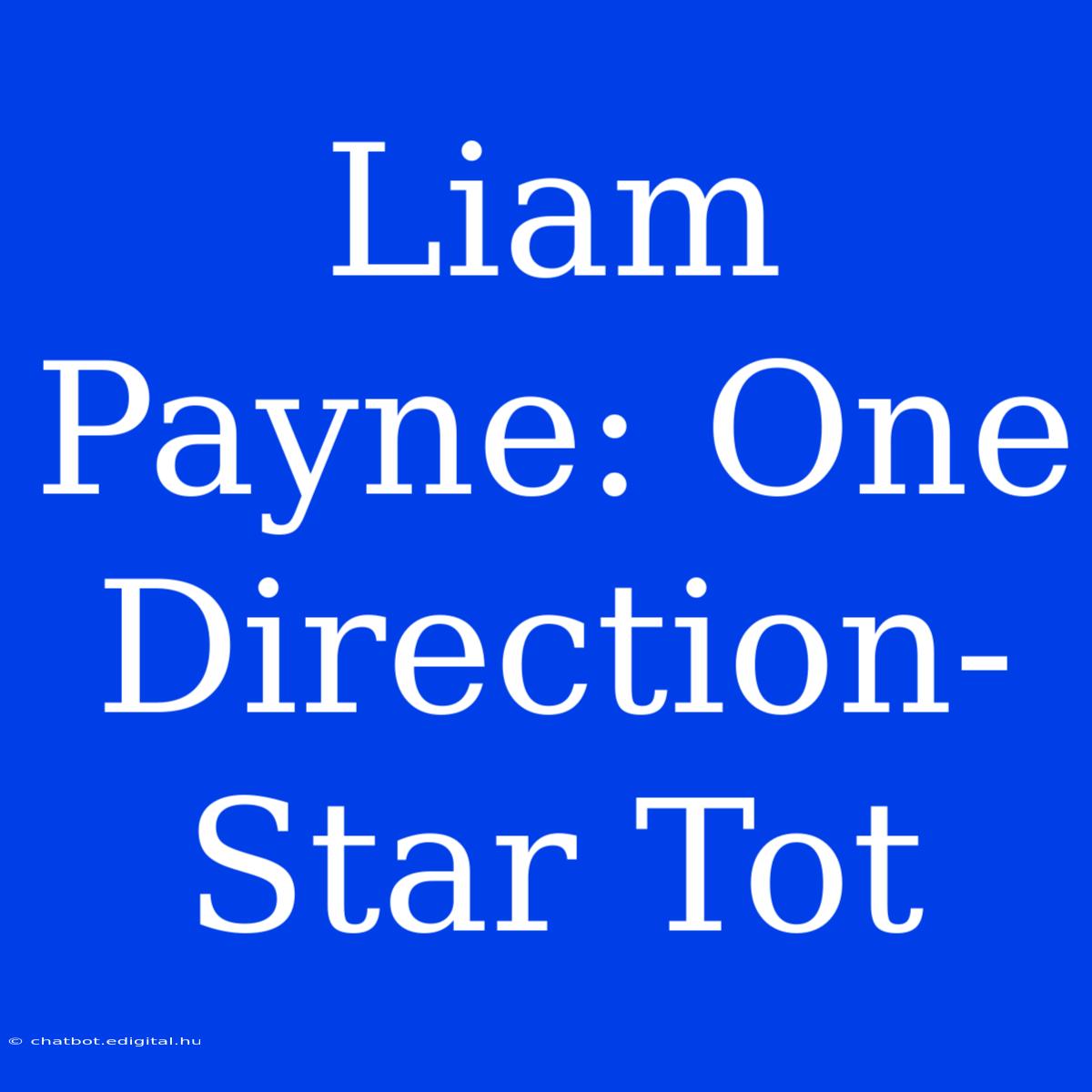 Liam Payne: One Direction-Star Tot