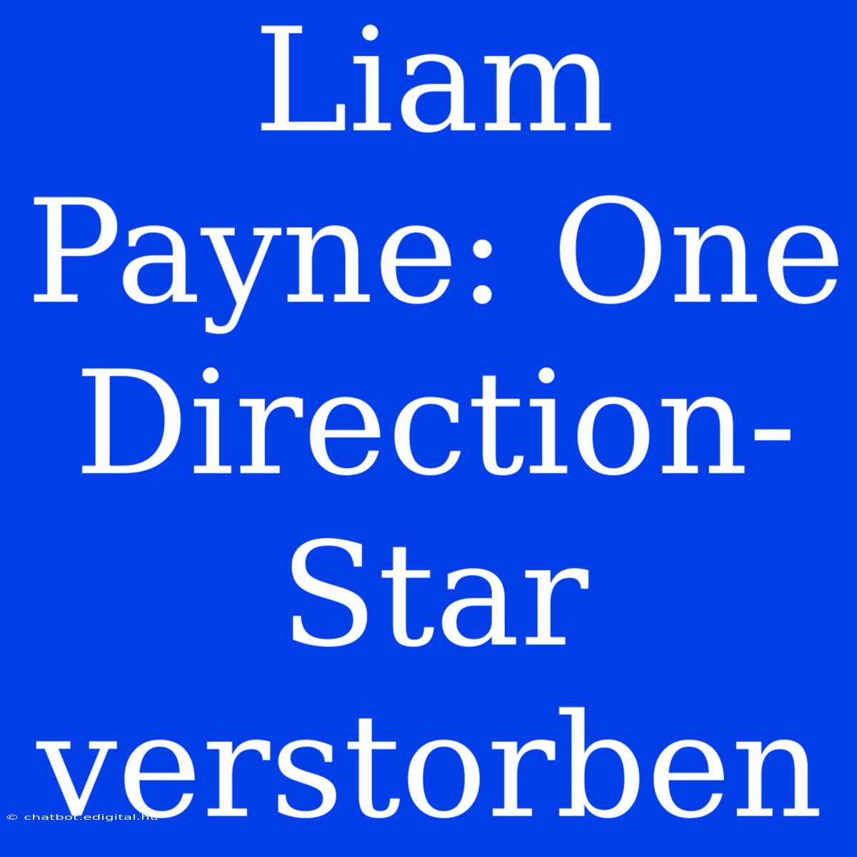 Liam Payne: One Direction-Star Verstorben