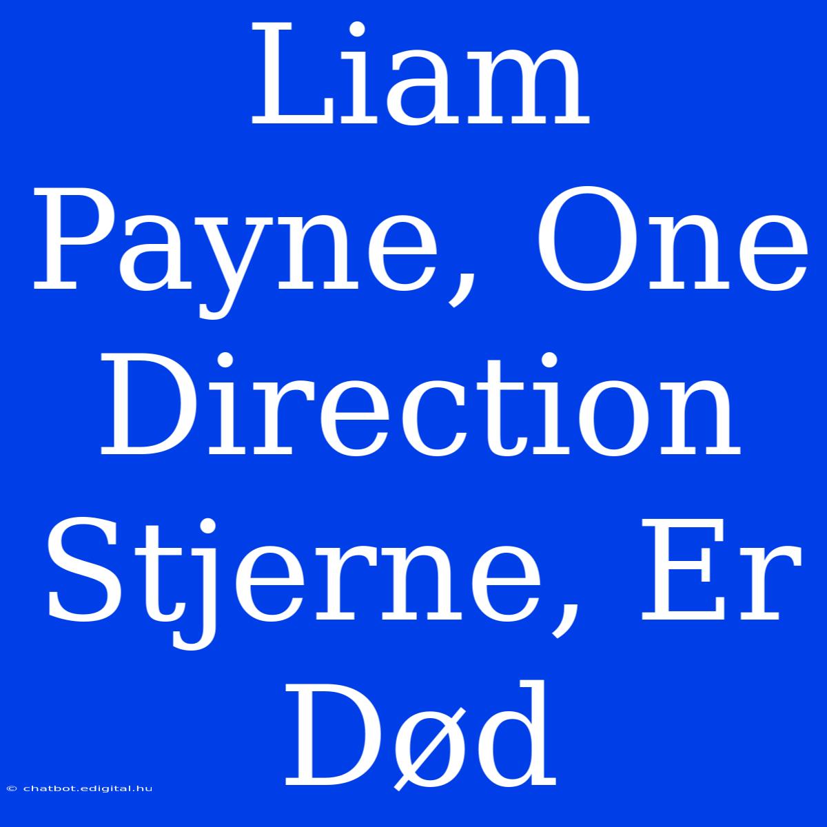 Liam Payne, One Direction Stjerne, Er Død