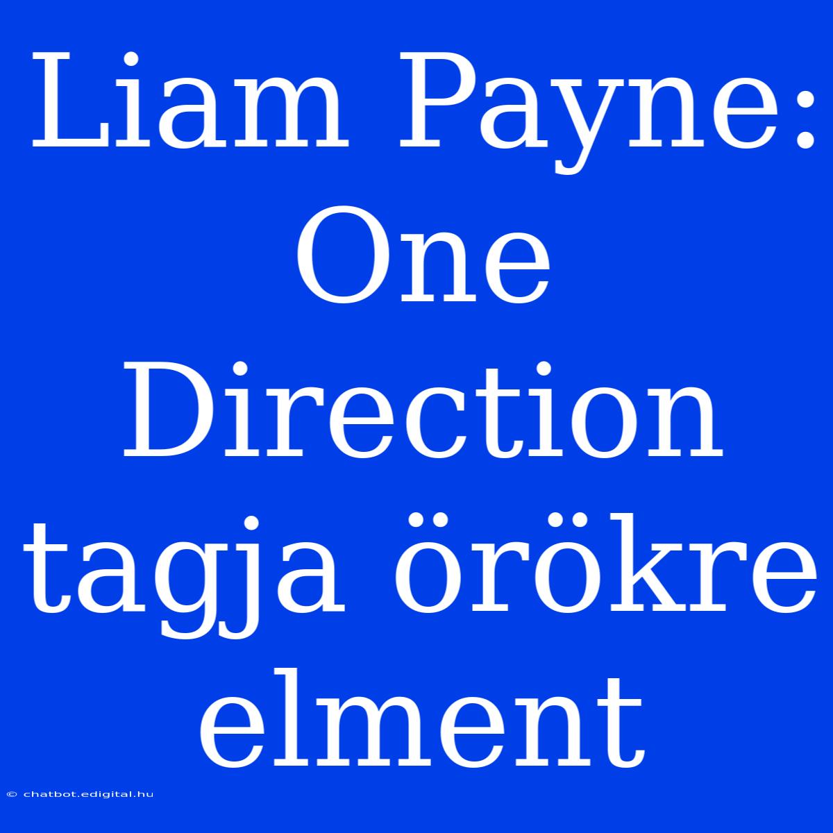 Liam Payne: One Direction Tagja Örökre Elment