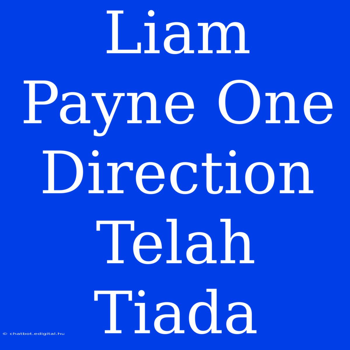 Liam Payne One Direction Telah Tiada