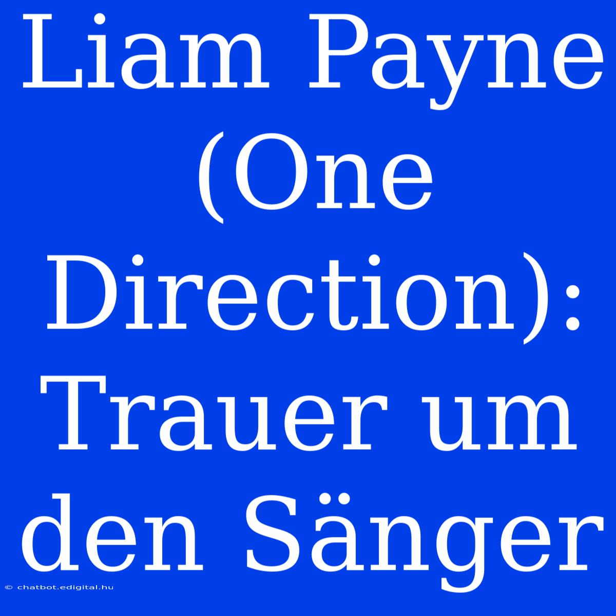 Liam Payne (One Direction): Trauer Um Den Sänger