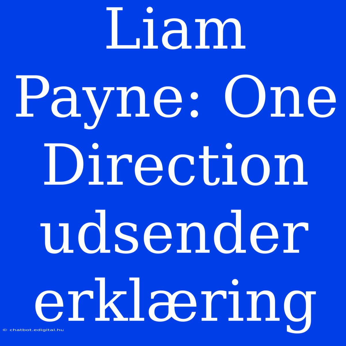 Liam Payne: One Direction Udsender Erklæring