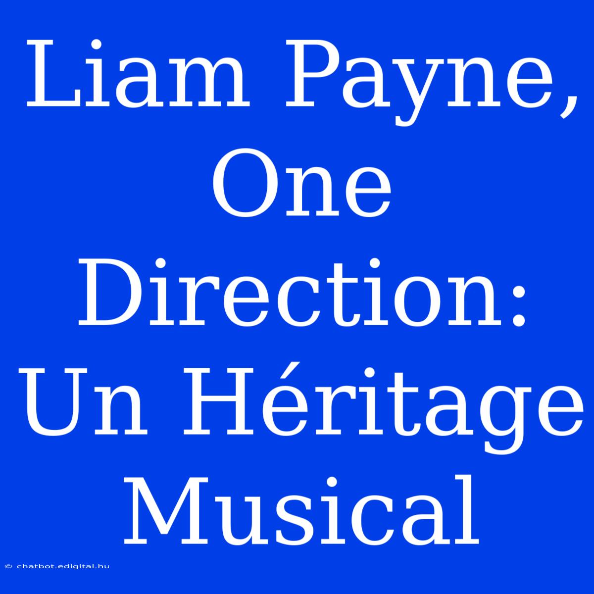 Liam Payne, One Direction: Un Héritage Musical