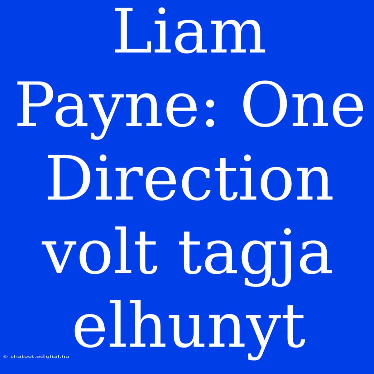 Liam Payne: One Direction Volt Tagja Elhunyt