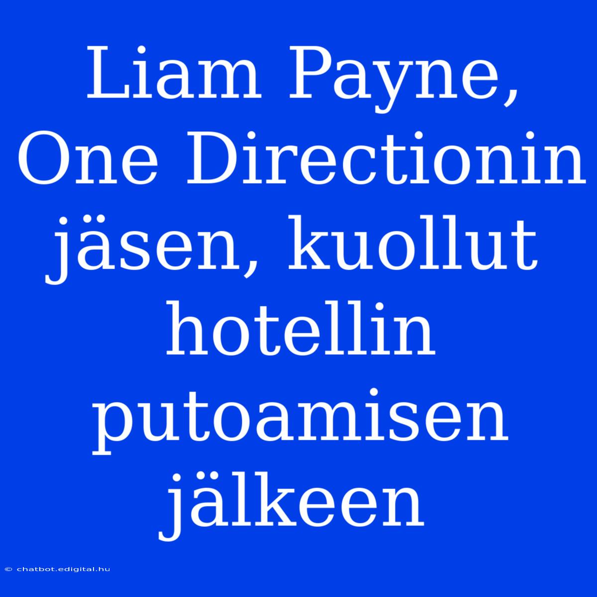 Liam Payne, One Directionin Jäsen, Kuollut Hotellin Putoamisen Jälkeen