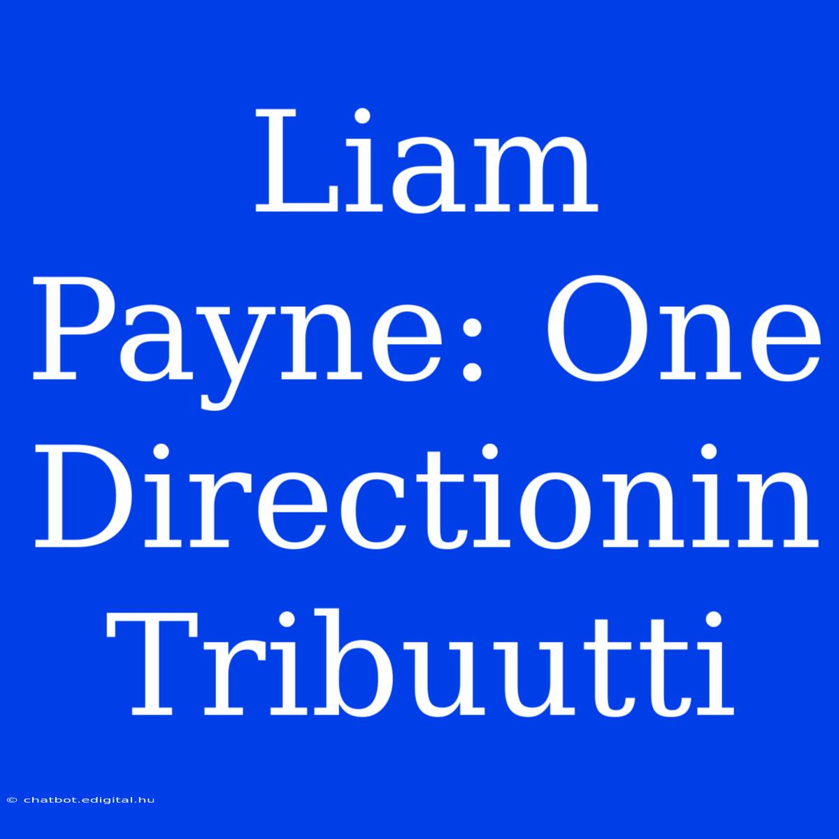 Liam Payne: One Directionin Tribuutti