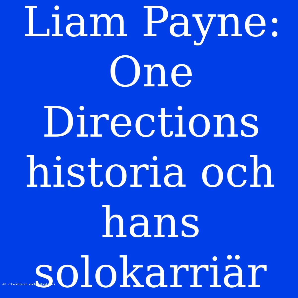 Liam Payne: One Directions Historia Och Hans Solokarriär