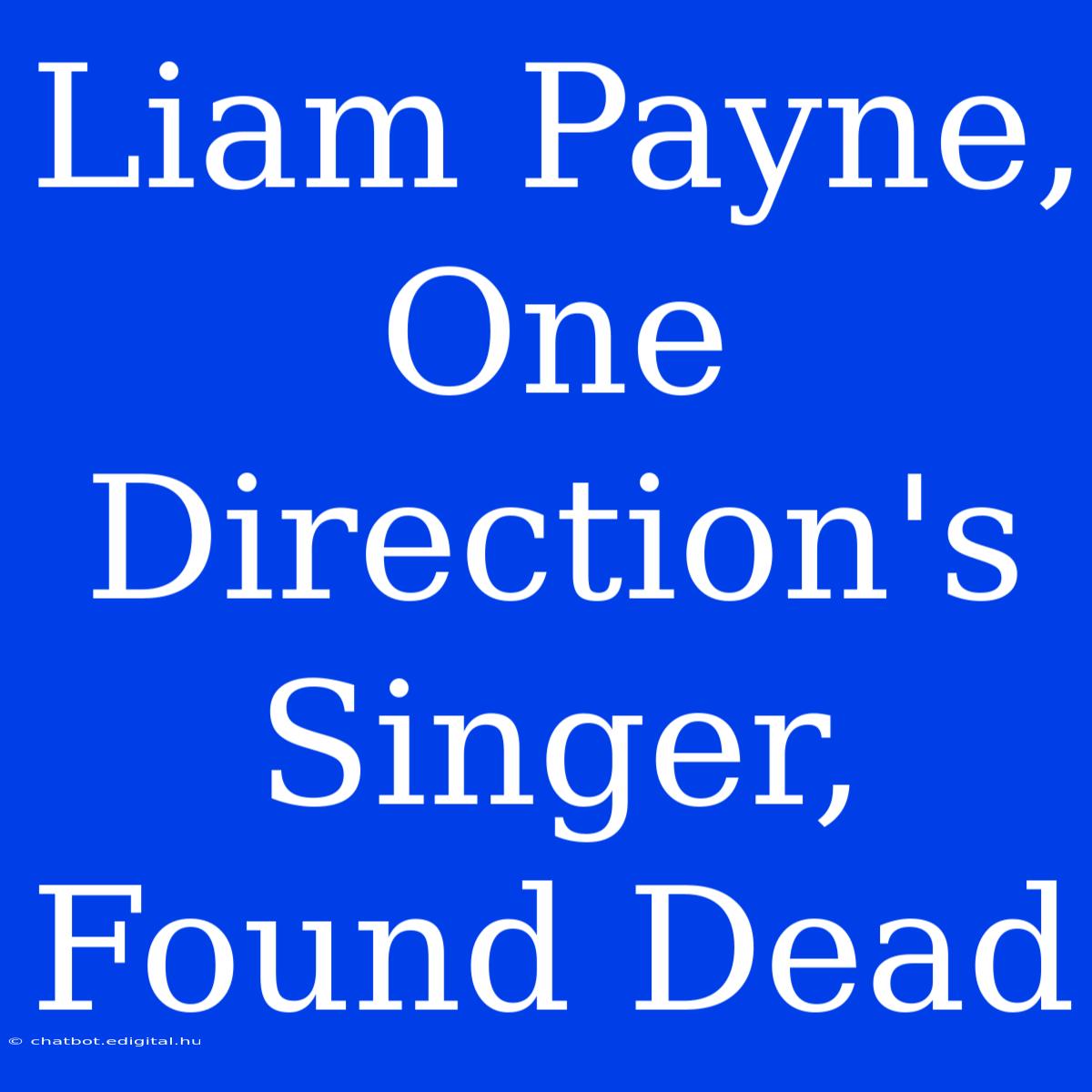 Liam Payne, One Direction's Singer, Found Dead