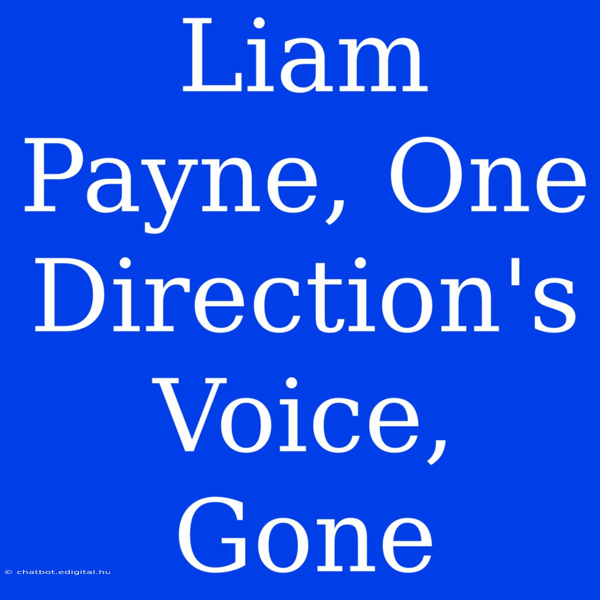 Liam Payne, One Direction's Voice, Gone