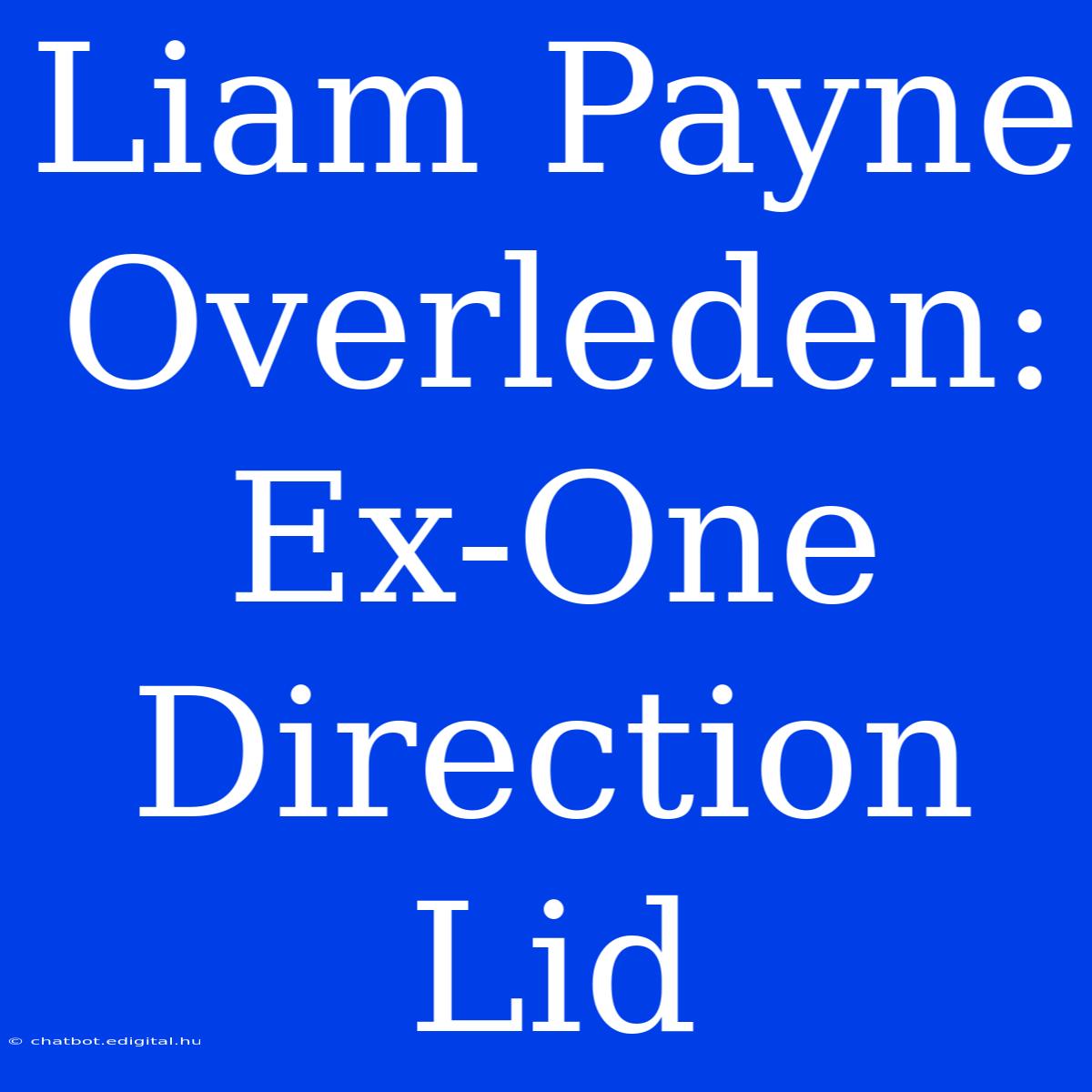 Liam Payne Overleden: Ex-One Direction Lid