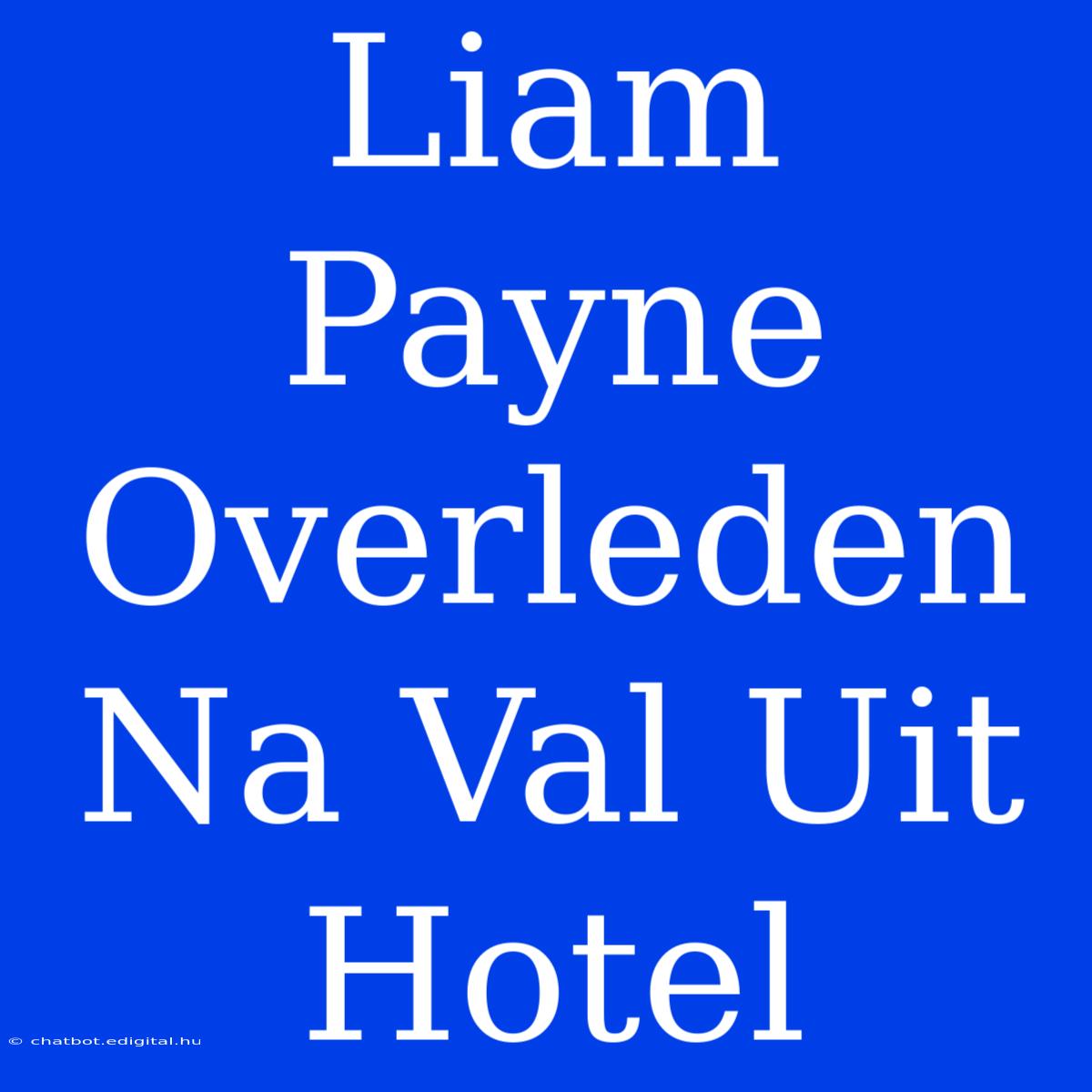 Liam Payne Overleden Na Val Uit Hotel