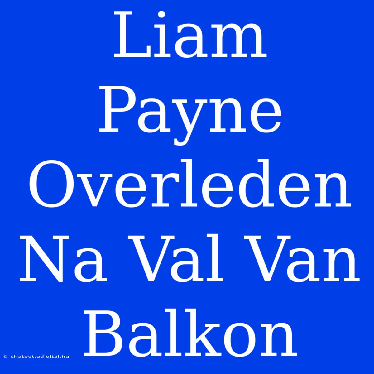 Liam Payne Overleden Na Val Van Balkon