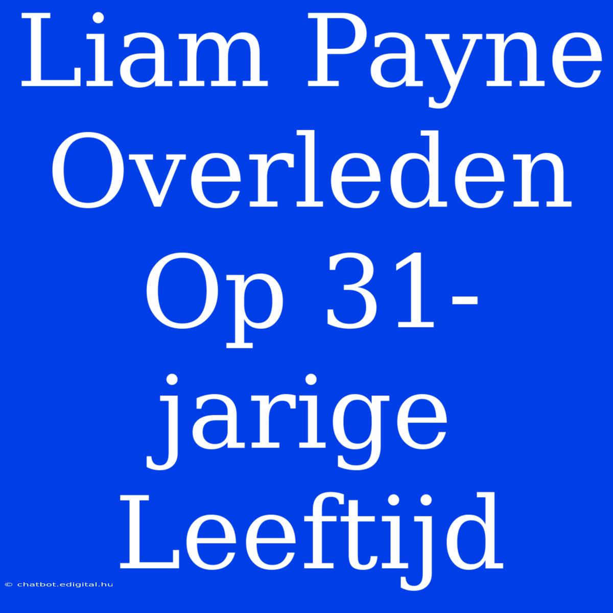 Liam Payne Overleden Op 31-jarige Leeftijd