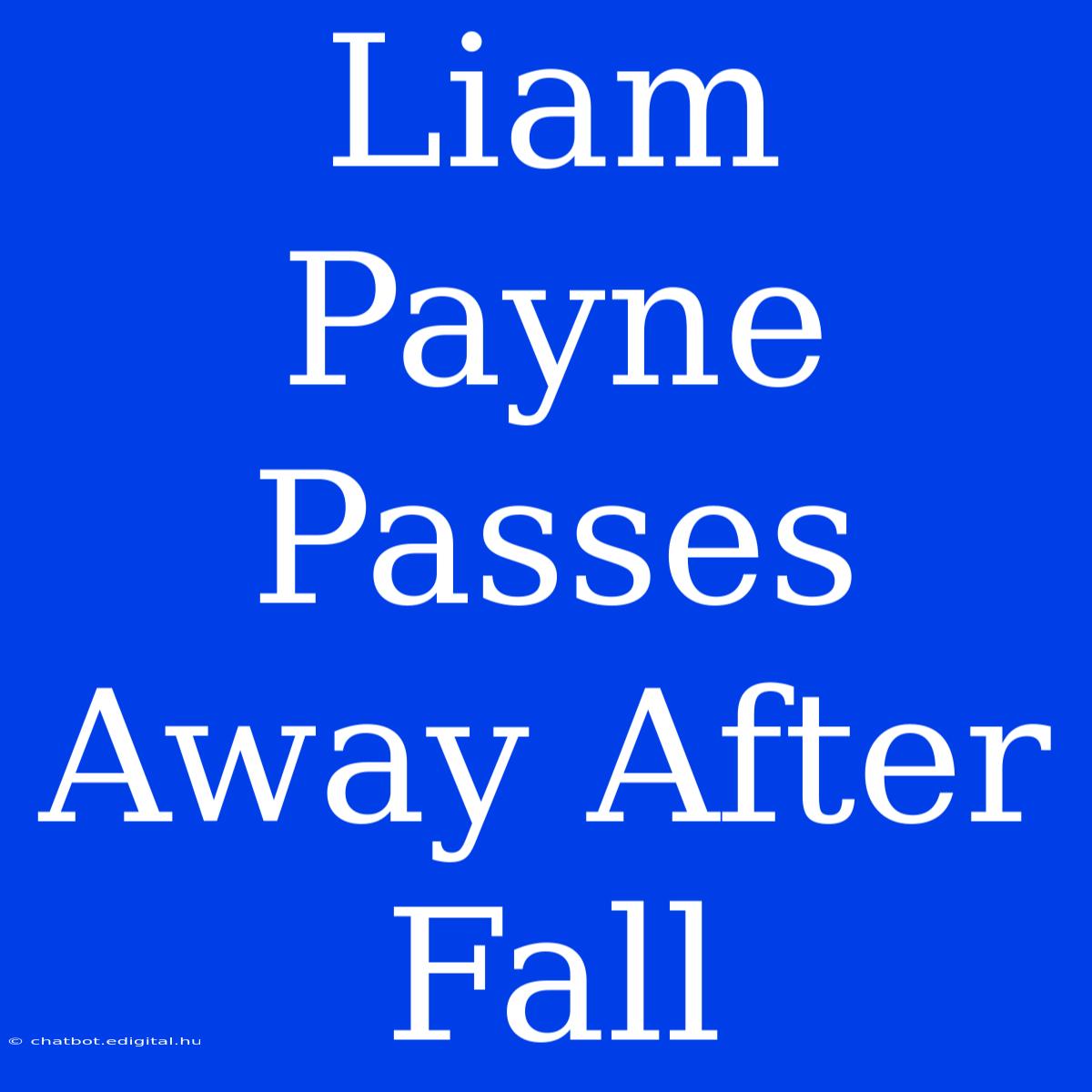 Liam Payne Passes Away After Fall