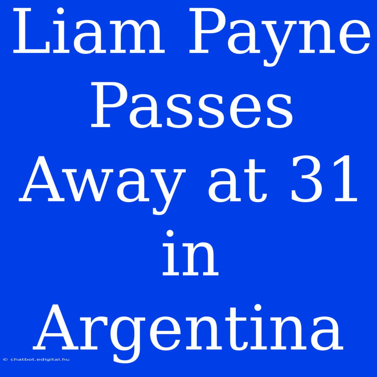 Liam Payne Passes Away At 31 In Argentina 