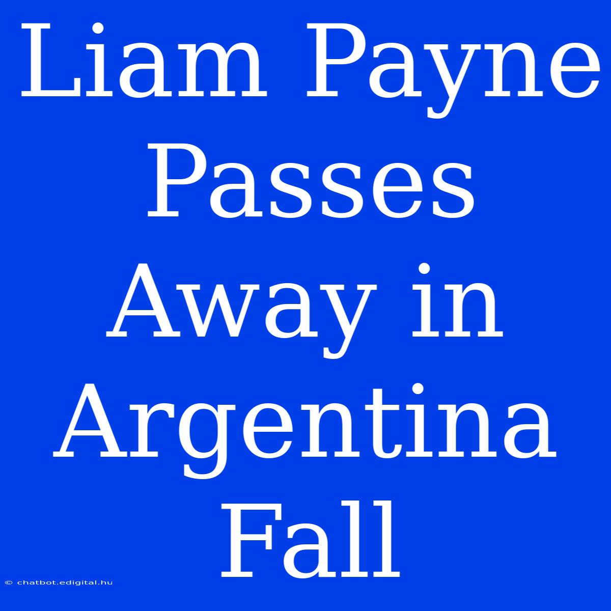 Liam Payne Passes Away In Argentina Fall