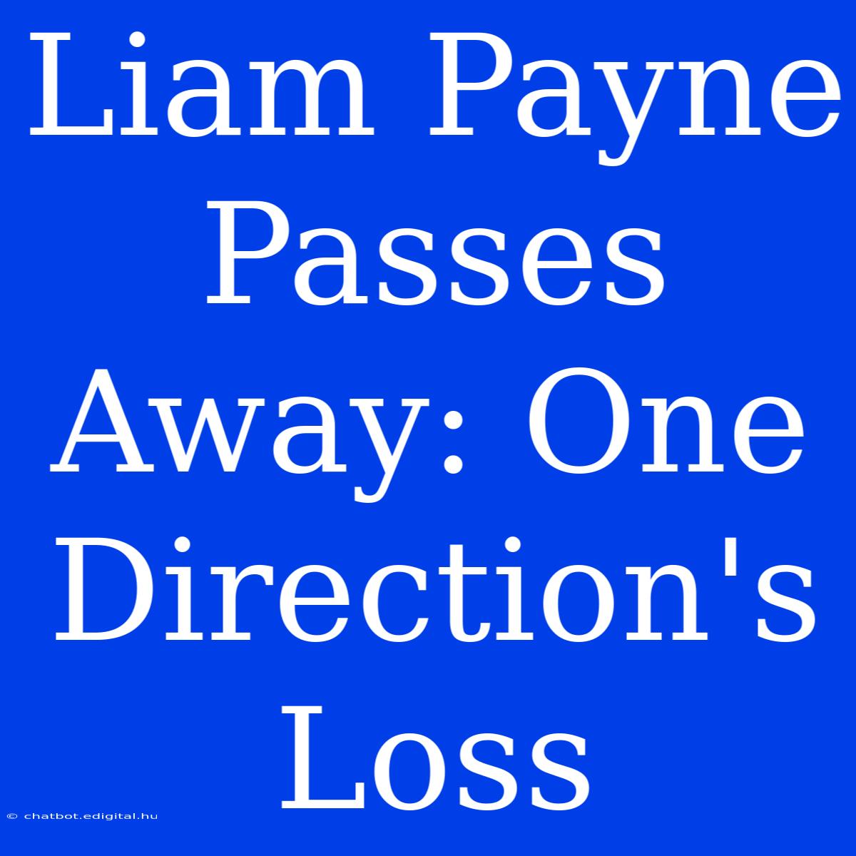 Liam Payne Passes Away: One Direction's Loss