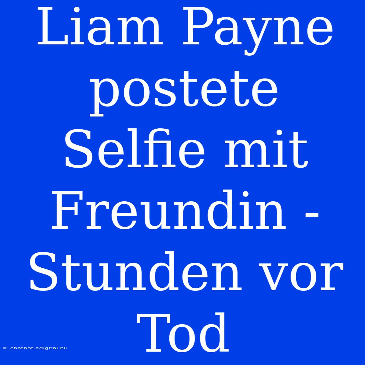 Liam Payne Postete Selfie Mit Freundin - Stunden Vor Tod