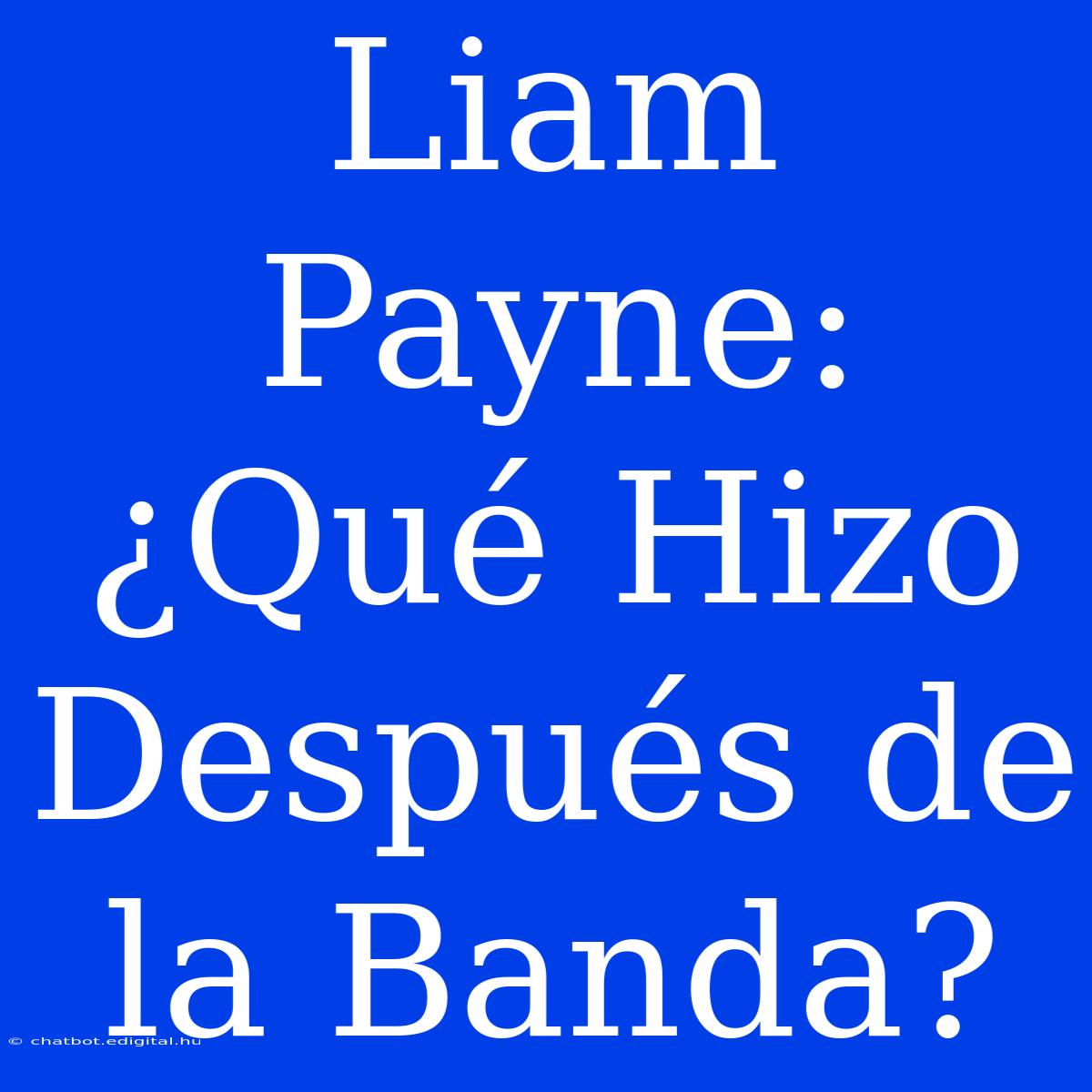 Liam Payne: ¿Qué Hizo Después De La Banda?