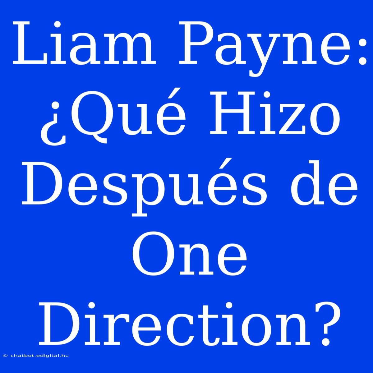 Liam Payne: ¿Qué Hizo Después De One Direction?