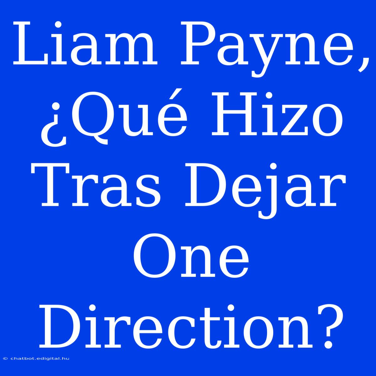 Liam Payne, ¿Qué Hizo Tras Dejar One Direction? 