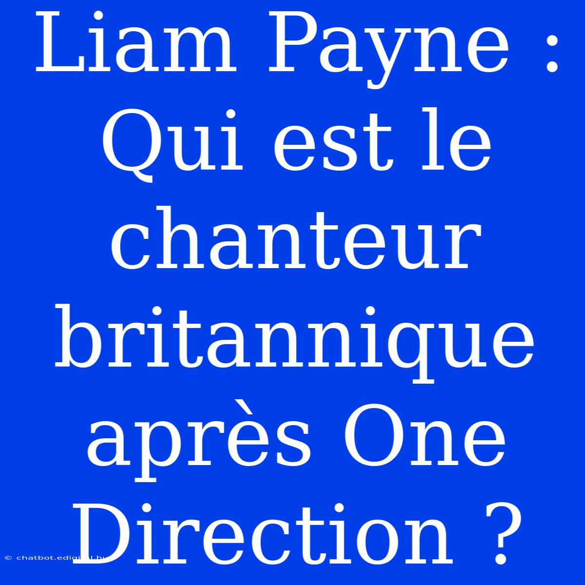 Liam Payne : Qui Est Le Chanteur Britannique Après One Direction ?