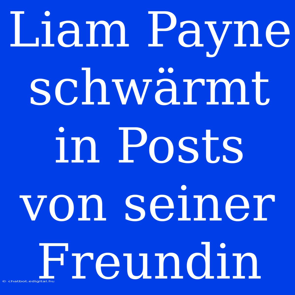 Liam Payne Schwärmt In Posts Von Seiner Freundin 