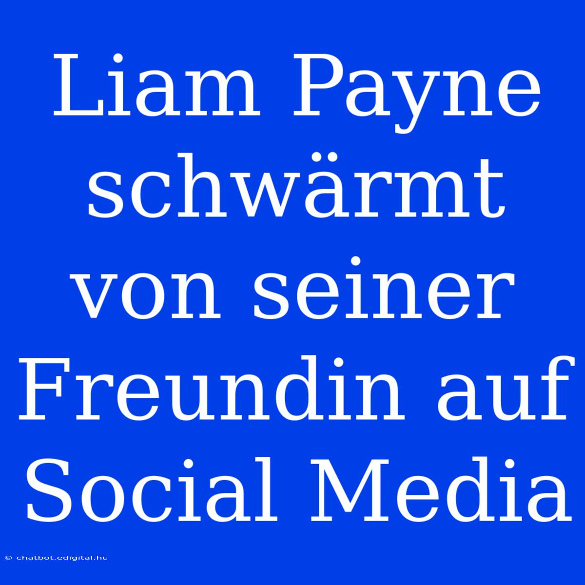 Liam Payne Schwärmt Von Seiner Freundin Auf Social Media