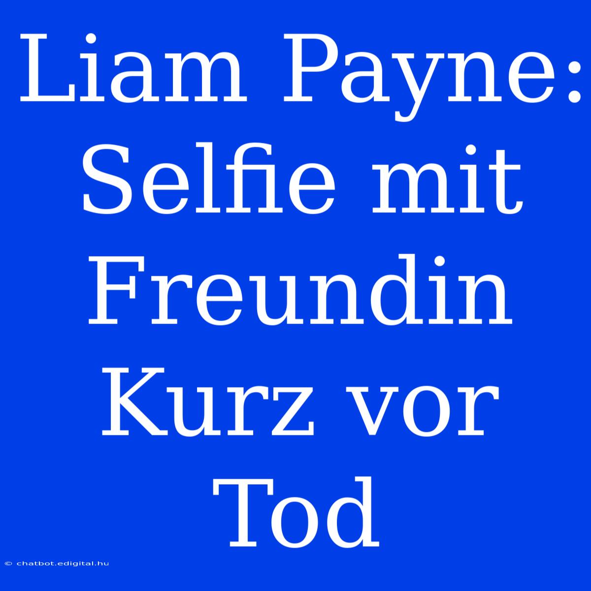 Liam Payne: Selfie Mit Freundin Kurz Vor Tod