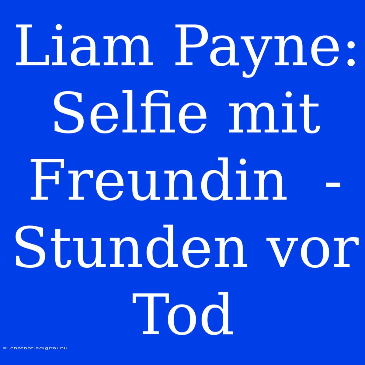 Liam Payne: Selfie Mit Freundin  -  Stunden Vor Tod