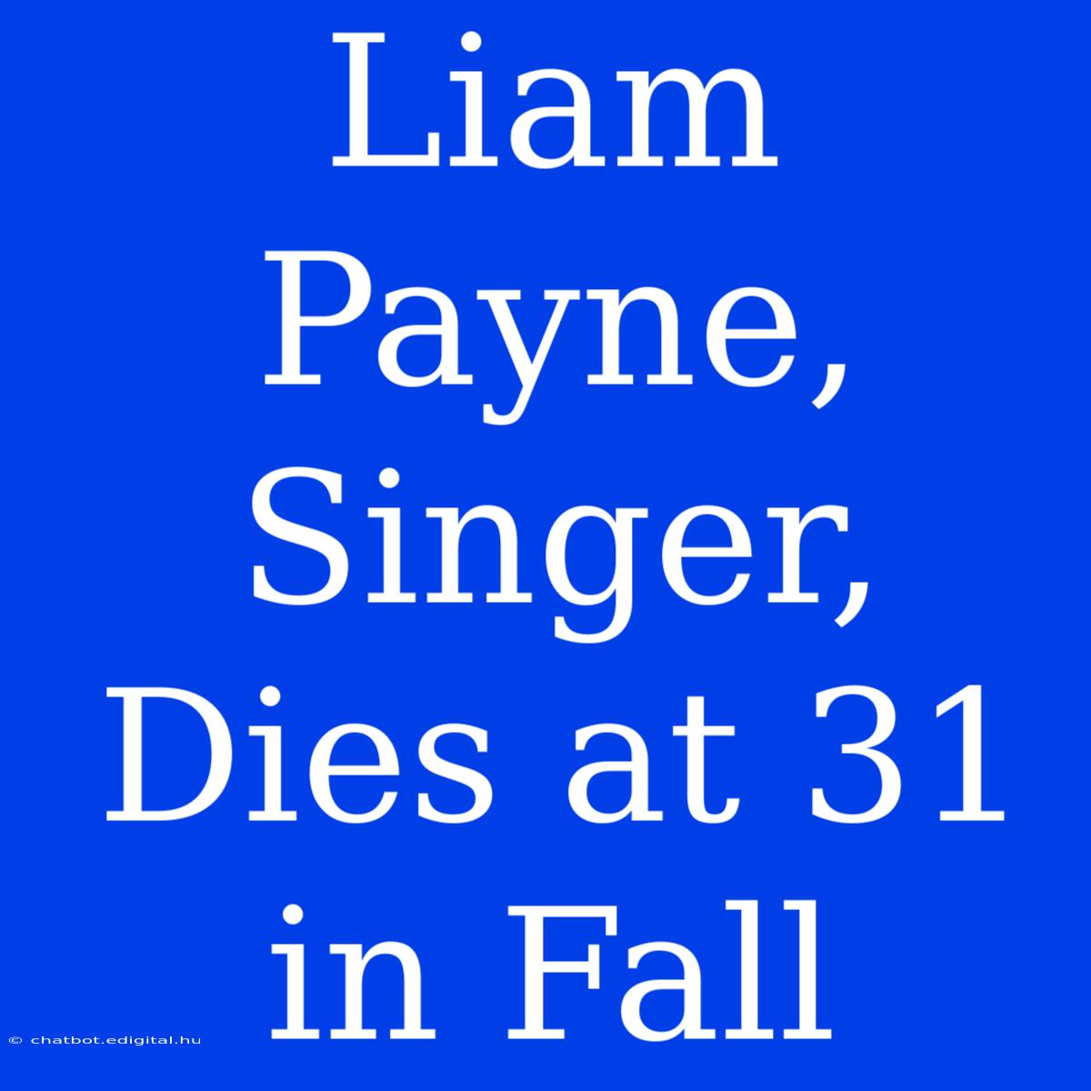 Liam Payne, Singer, Dies At 31 In Fall