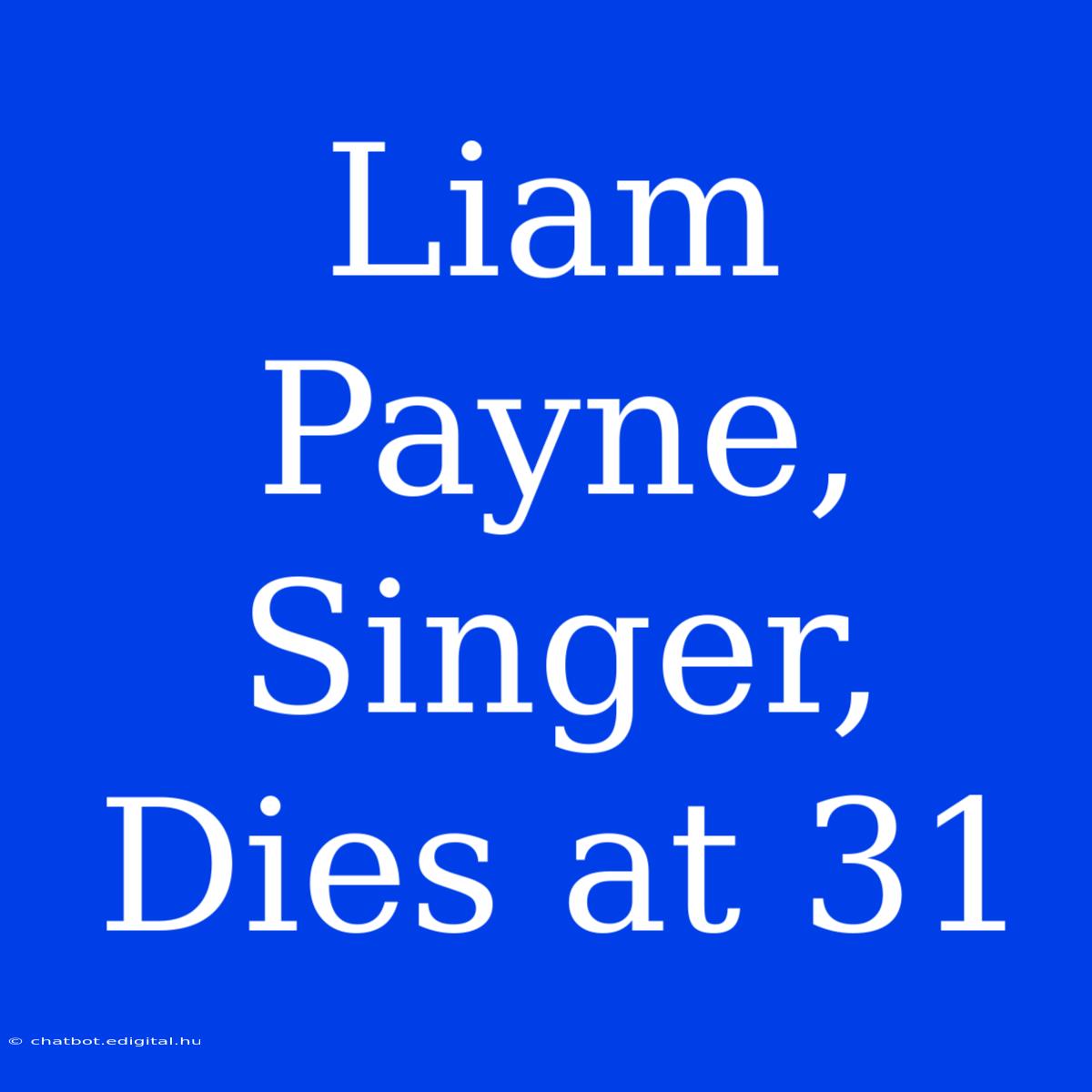 Liam Payne, Singer, Dies At 31