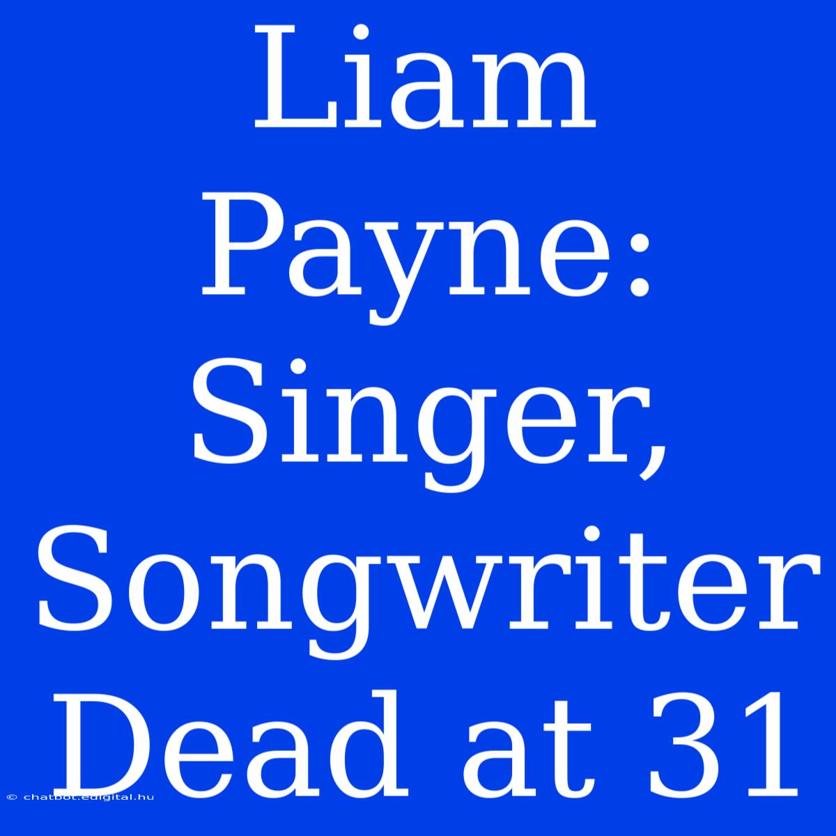 Liam Payne: Singer, Songwriter Dead At 31