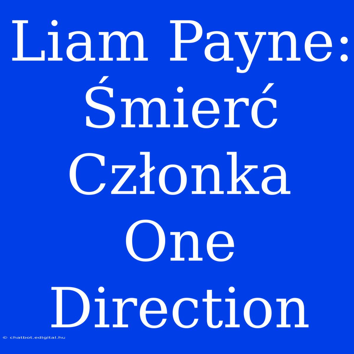 Liam Payne: Śmierć Członka One Direction