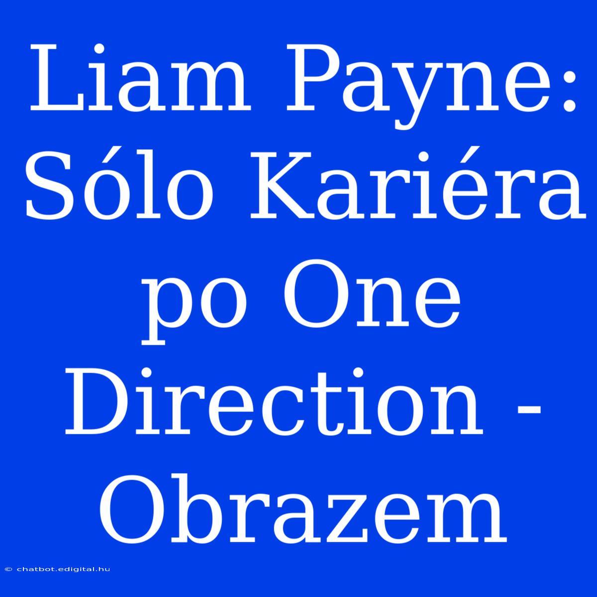 Liam Payne: Sólo Kariéra Po One Direction - Obrazem