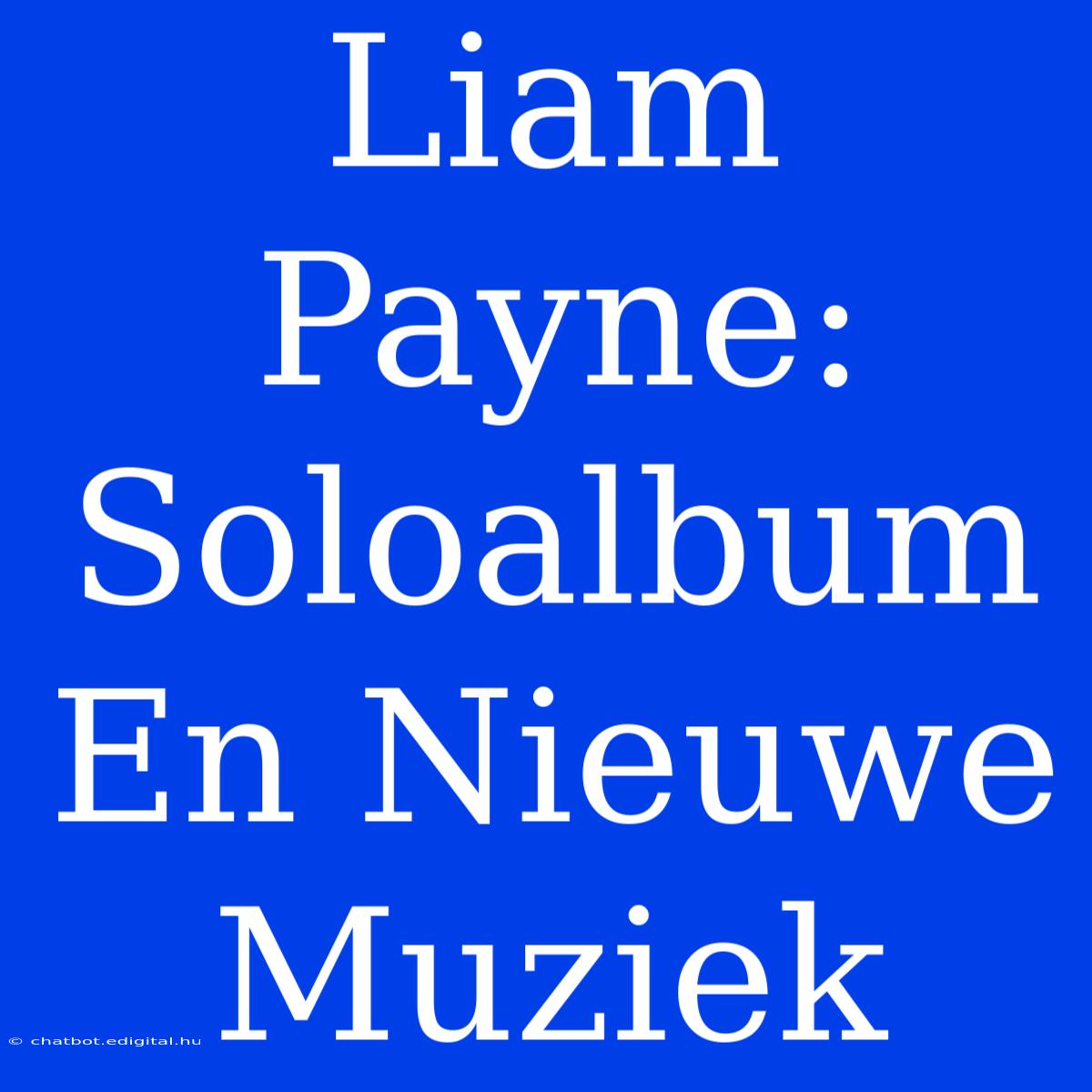 Liam Payne: Soloalbum En Nieuwe Muziek