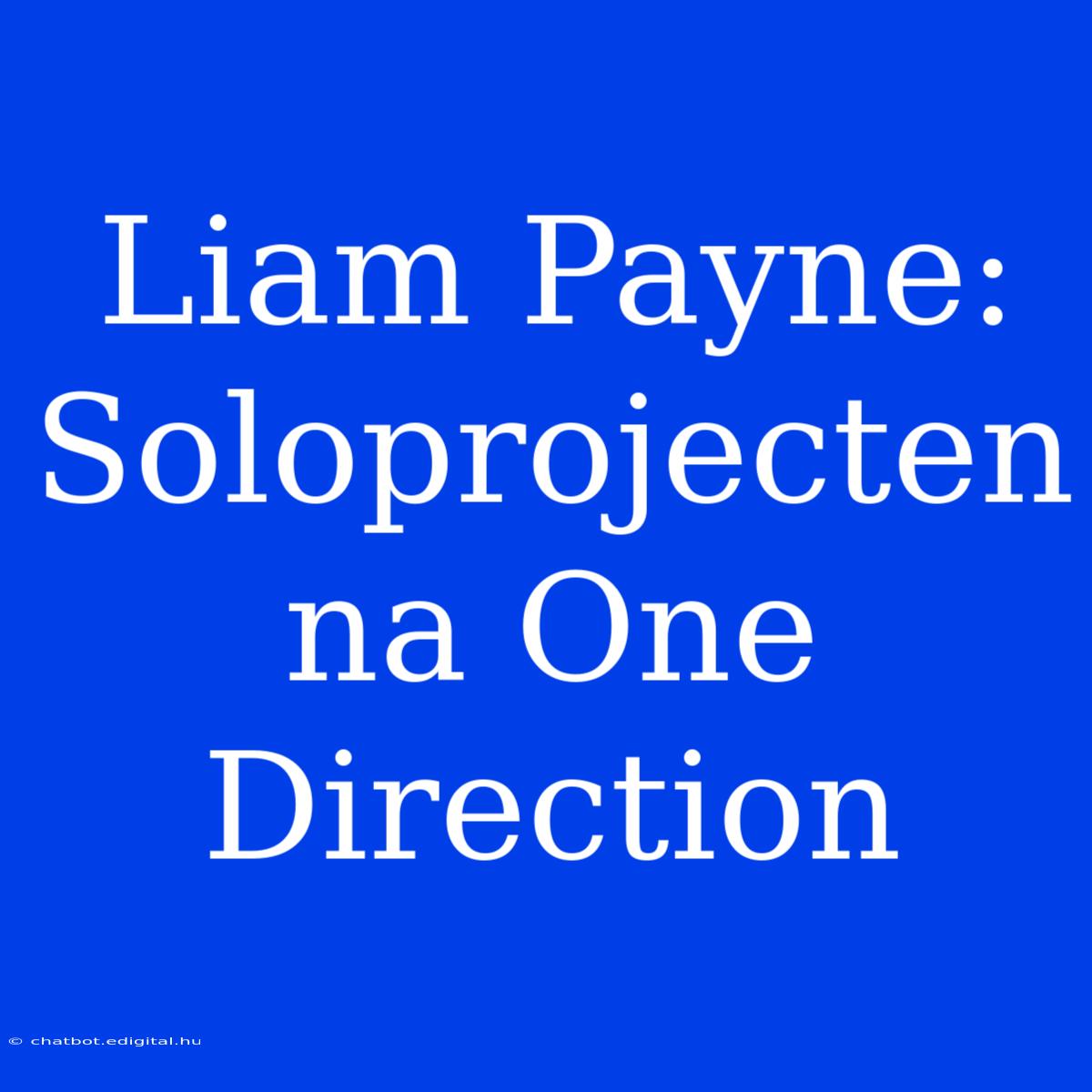 Liam Payne: Soloprojecten Na One Direction