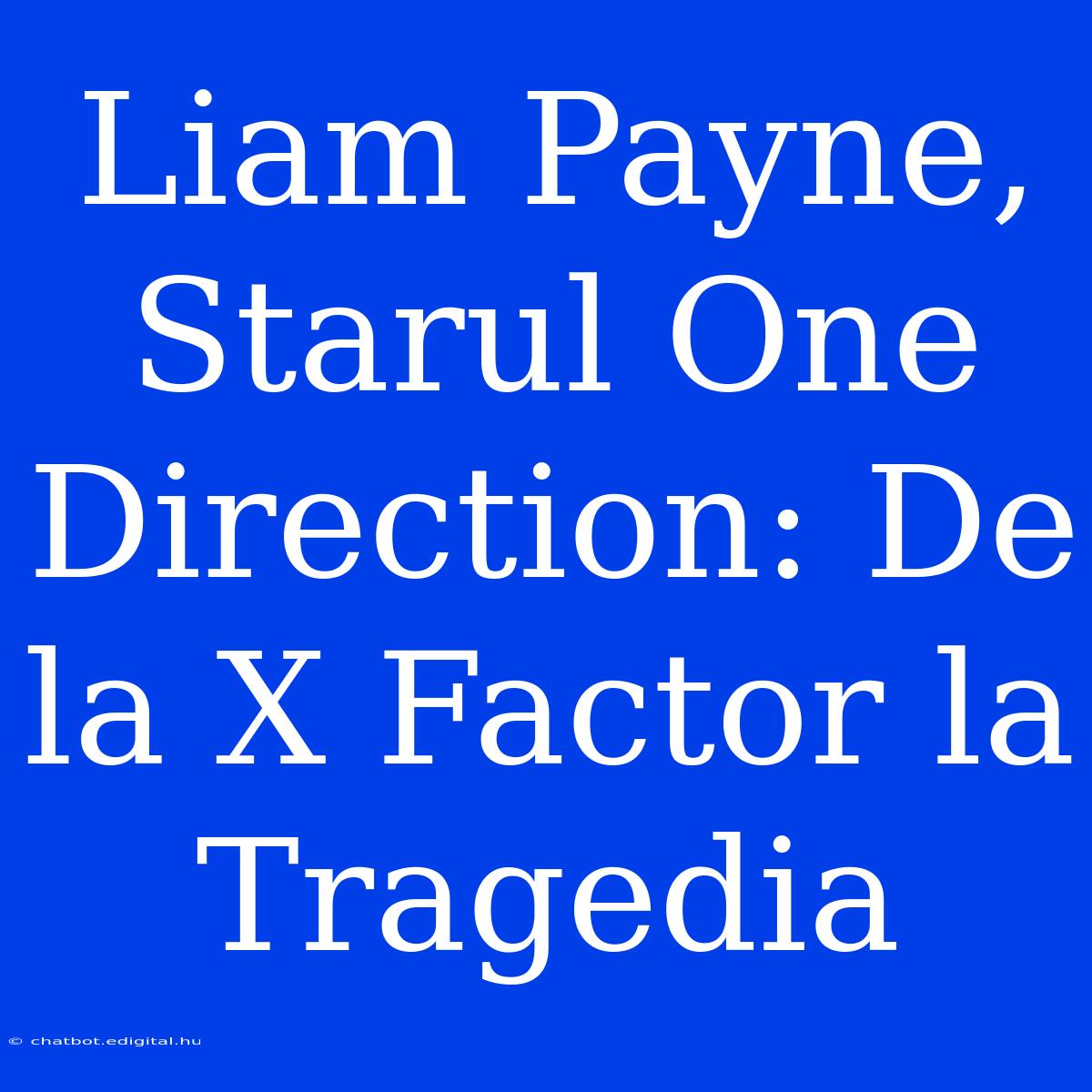 Liam Payne, Starul One Direction: De La X Factor La Tragedia