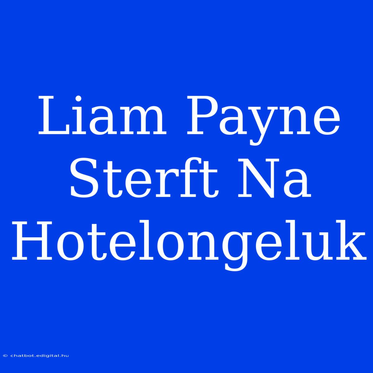 Liam Payne Sterft Na Hotelongeluk